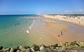 Tavira Palm Tree By Homing